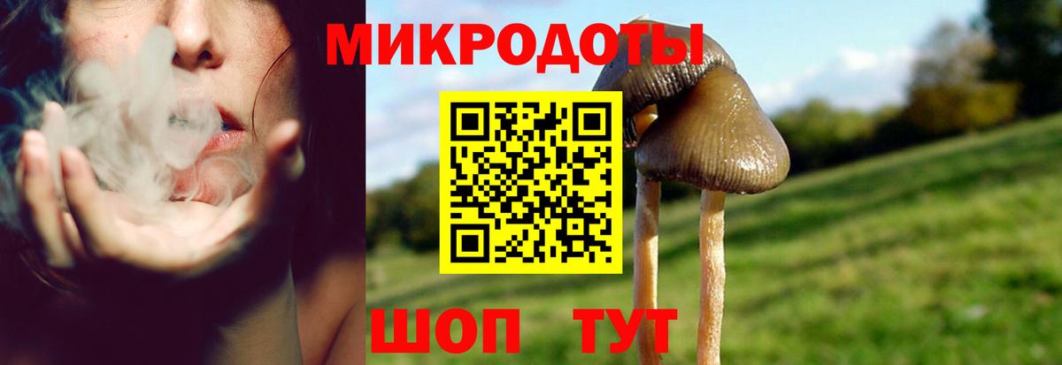 Менделеевск  Псилоцибиновые грибы MAGIC MUSHROOMS  Вход с VPN  Галлюциногенные грибы мухоморы 